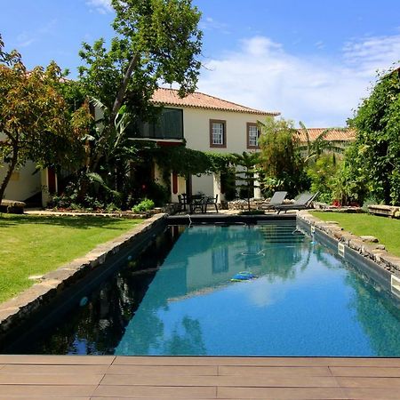 Apartmán Quinta Araucaria Funchal Funchal  Exteriér fotografie